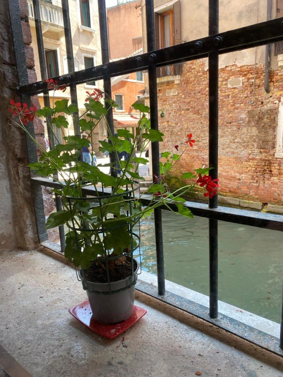 Canal View Apartamento *